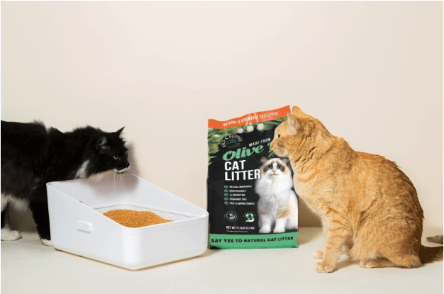 You are currently viewing Olive Pit Cat Litter from Paco & Pepper brings an end to all dusty messes